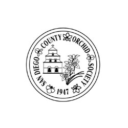 sandiego